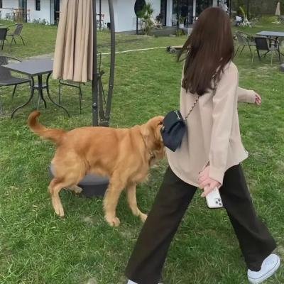小绅士